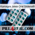 Kamagra Oral Jelly Sildenafil dapoxetine2